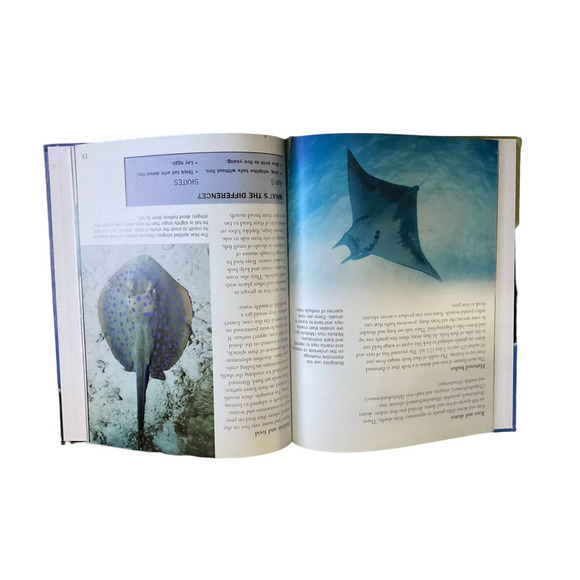 SHarks and Fish Set of 4 Informative Books with Pictures Hardcovers - Picture 6 of 6